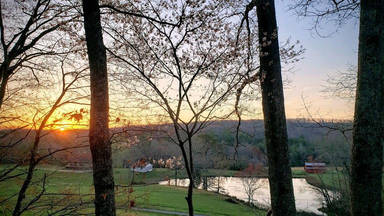 Vacation Rentals (United States of America, Grandview, Tennessee)