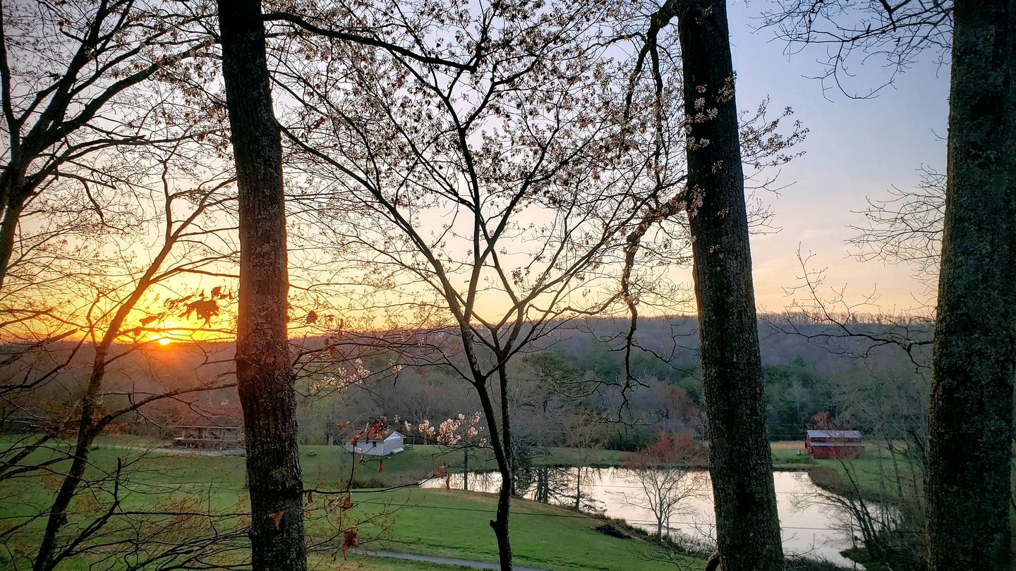 Radiant Forest Vacation Rental Haven Near Piney River, Tennessee