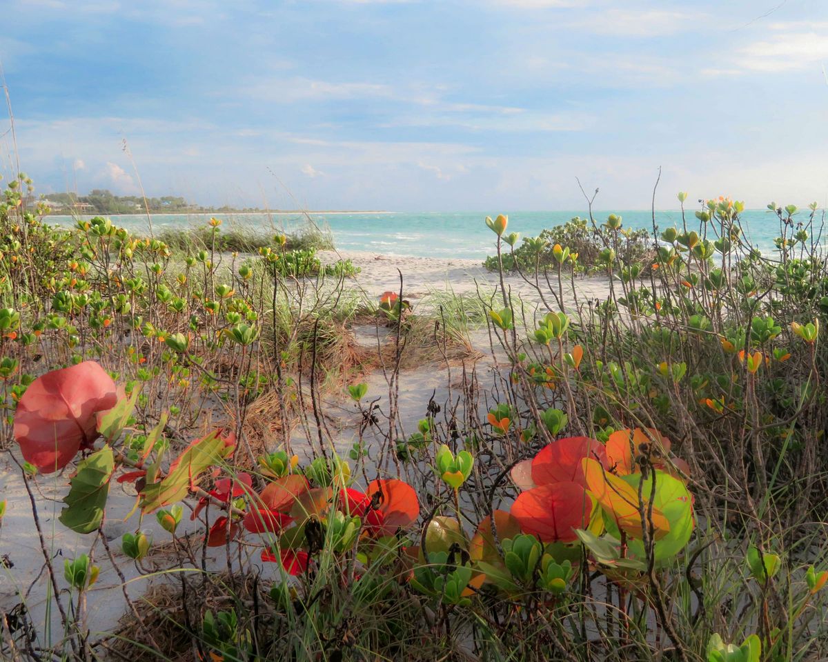 Charming Old Florida Cottage with Private Dock & Sunset Views near Little Gasparilla Island, FL