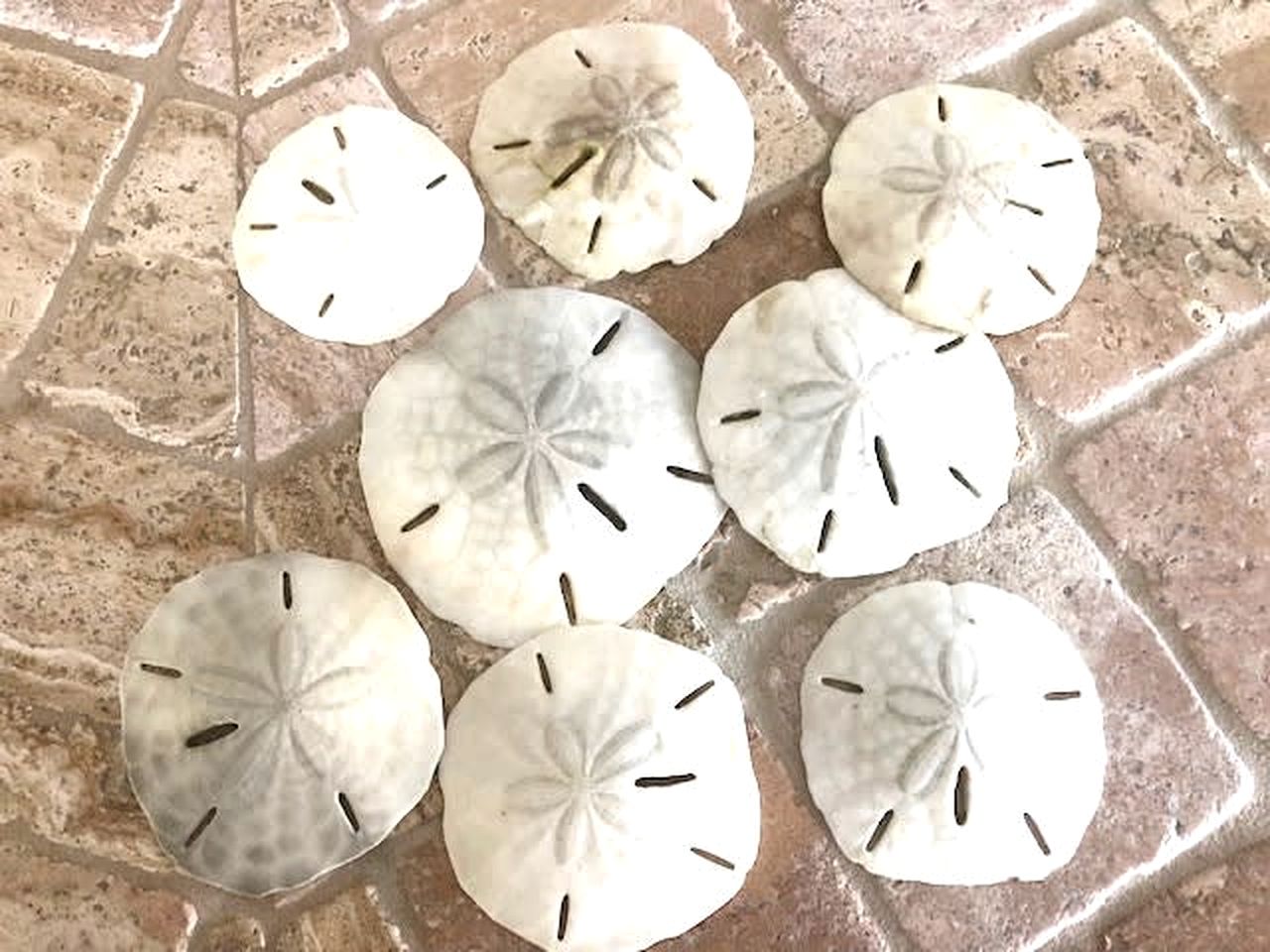 Charming Old Florida Cottage with Private Dock & Sunset Views near Little Gasparilla Island, FL