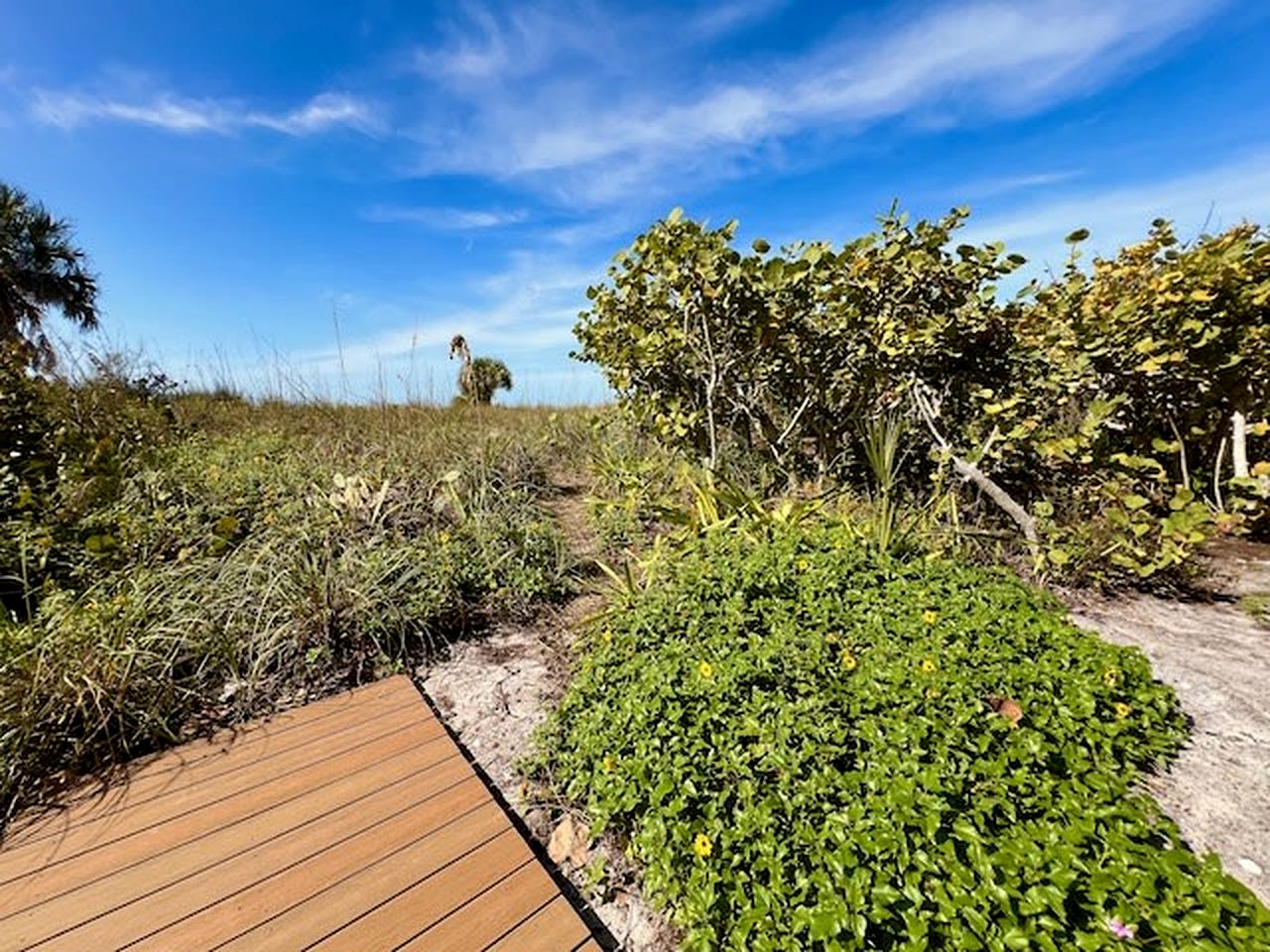 Charming Old Florida Cottage with Private Dock & Sunset Views near Little Gasparilla Island, FL