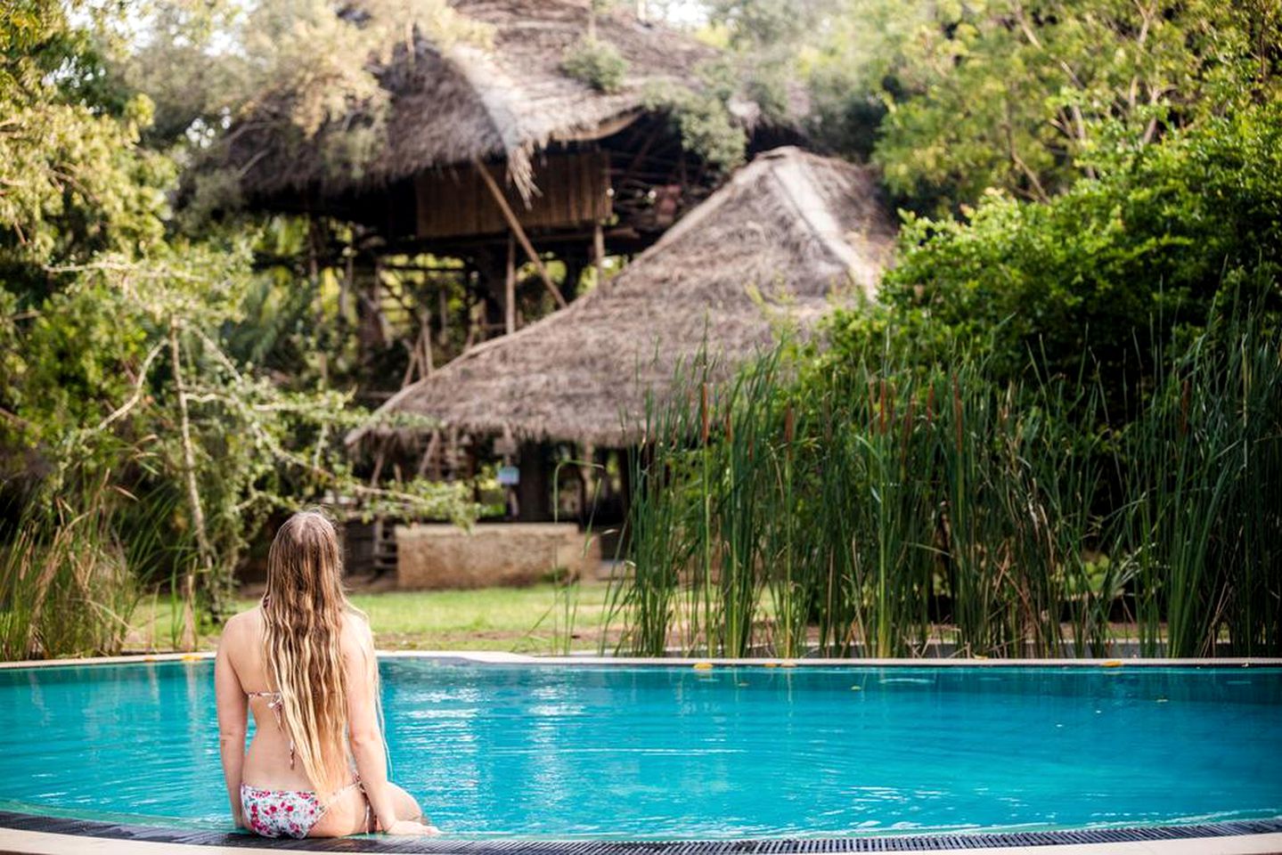 Rustic Glamping Hut with Swimming Pool Access on Resort in Wirawila, Southern Sri Lanka