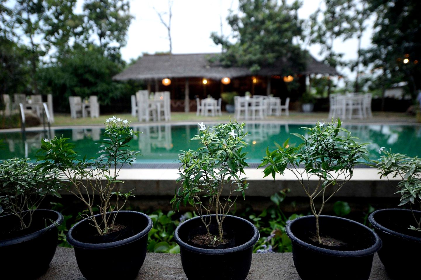 Unique Mud Hut and Tree House Rental for a Vacation near Tissamaharama in Sri Lanka