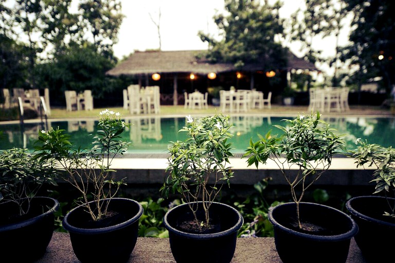 Tree Houses (Tissamaharama, Southern Province, Sri Lanka)