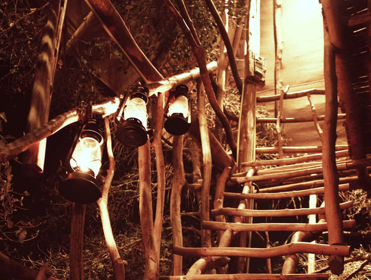 Family-Friendly Tree House with Swimming Pool Access in Southern Sri Lanka