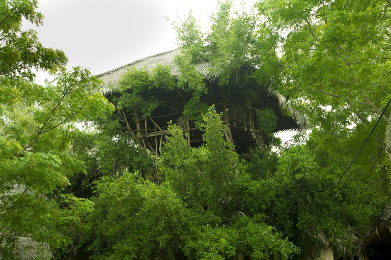 Tree Houses (Tissamaharama, Southern Province, Sri Lanka)