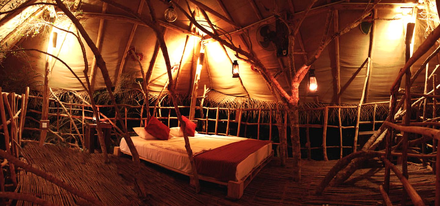Family-Friendly Tree House with Swimming Pool Access in Southern Sri Lanka