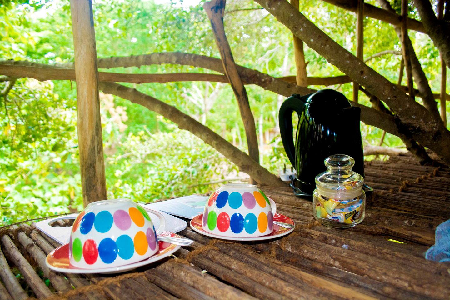 Family-Friendly Tree House with Swimming Pool Access in Southern Sri Lanka