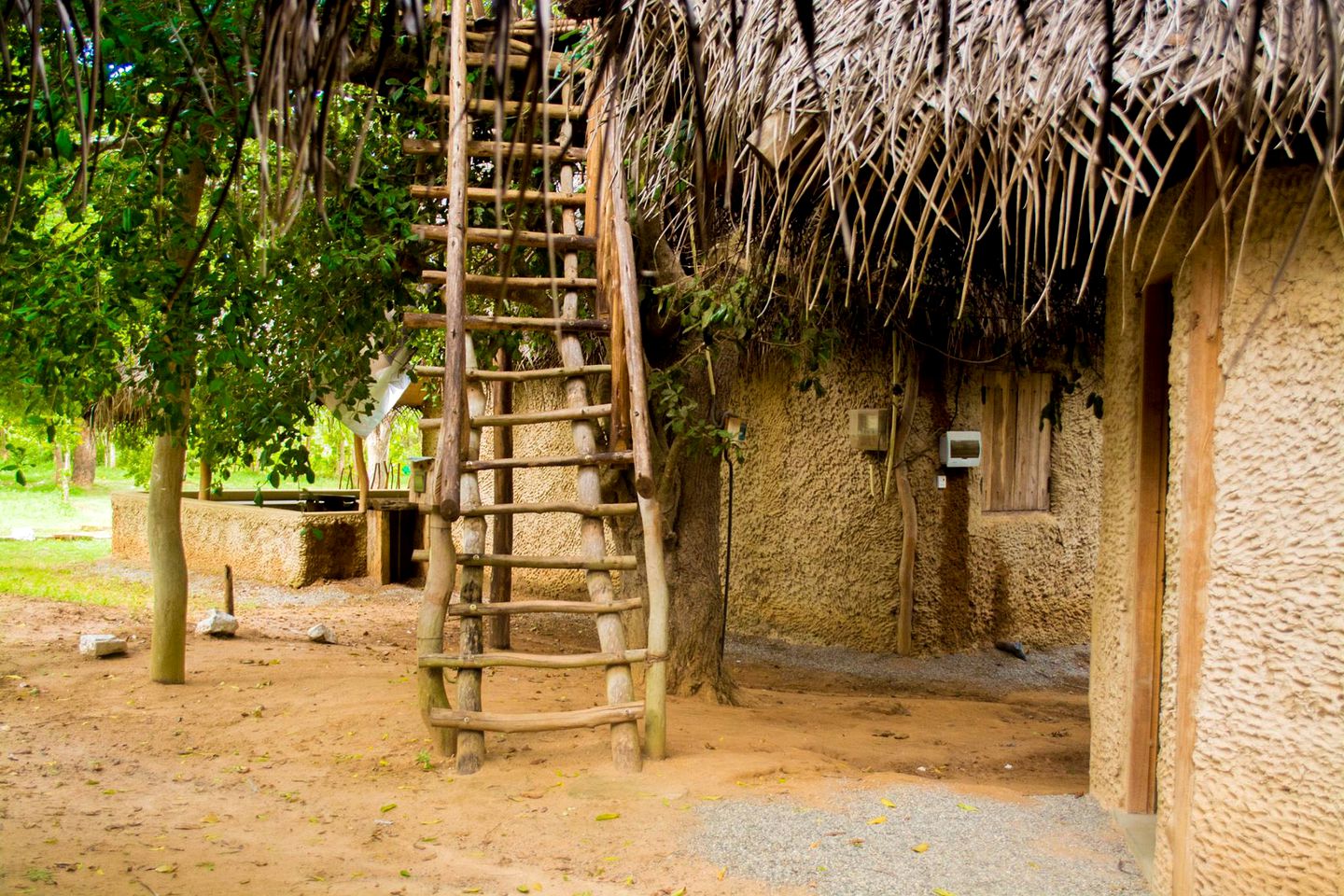 Family-Friendly Tree House with Swimming Pool Access in Southern Sri Lanka