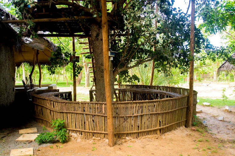 Tree Houses (Tissamaharama, Southern Province, Sri Lanka)