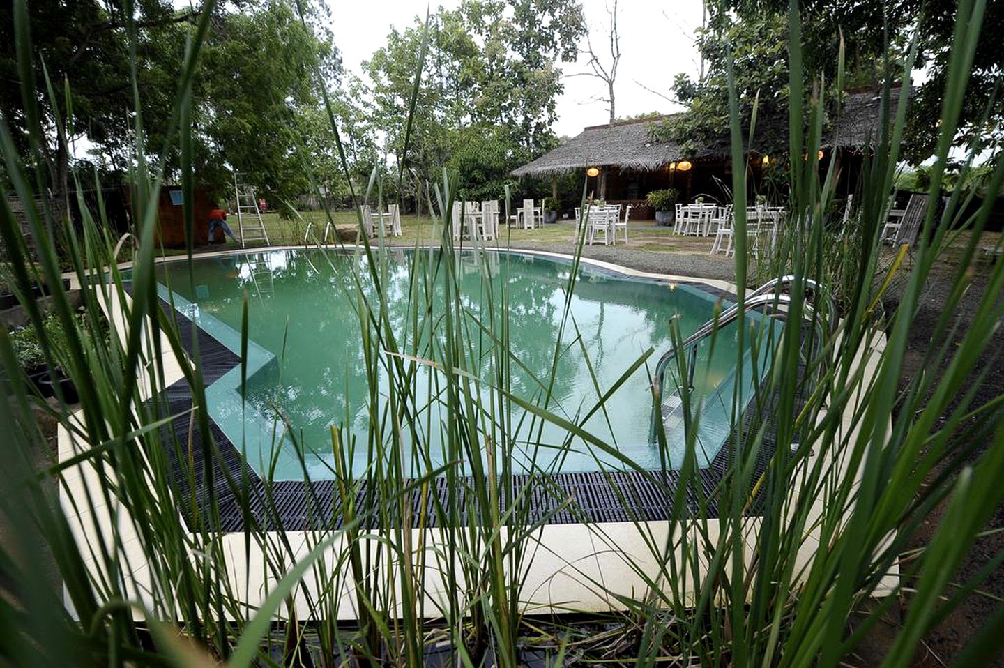 Family-Friendly Tree House with Swimming Pool Access in Southern Sri Lanka