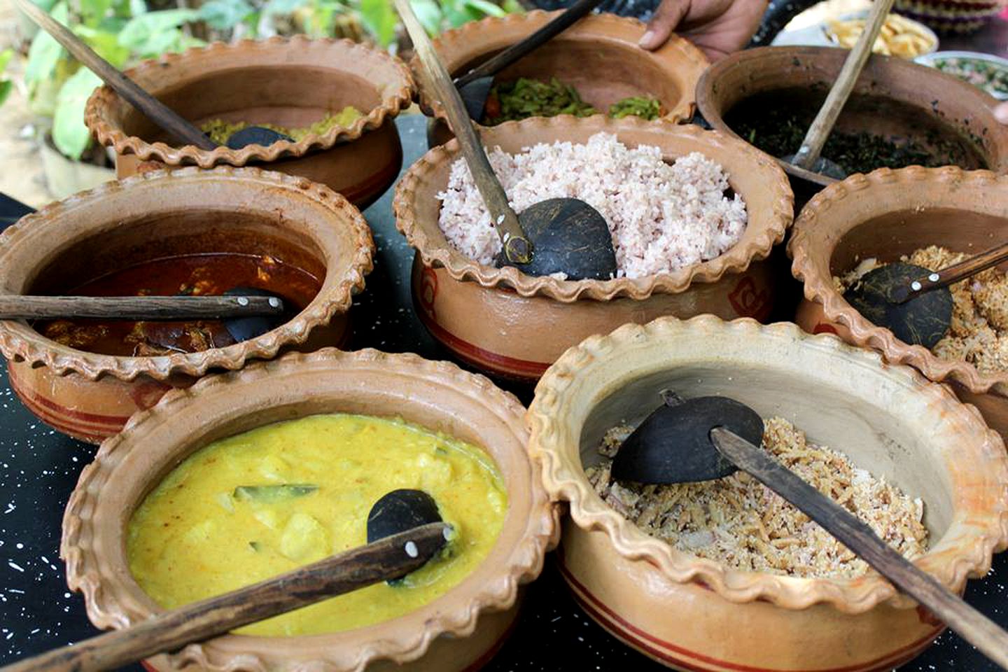 Family-Friendly Tree House with Swimming Pool Access in Southern Sri Lanka