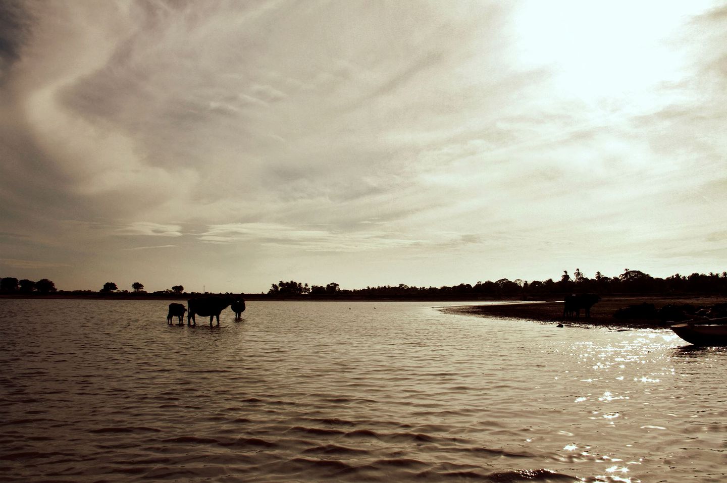 Family-Friendly Tree House with Swimming Pool Access in Southern Sri Lanka