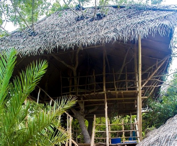 Tree Houses (Tissamaharama, Southern Province, Sri Lanka)