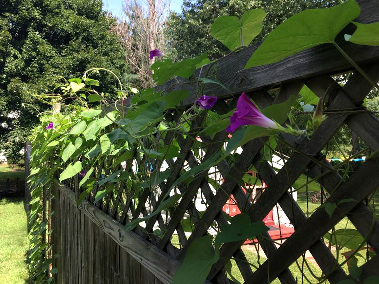Authentic Mongolian Yurt for a Serene Healing Retreat in Saratoga Springs, New York
