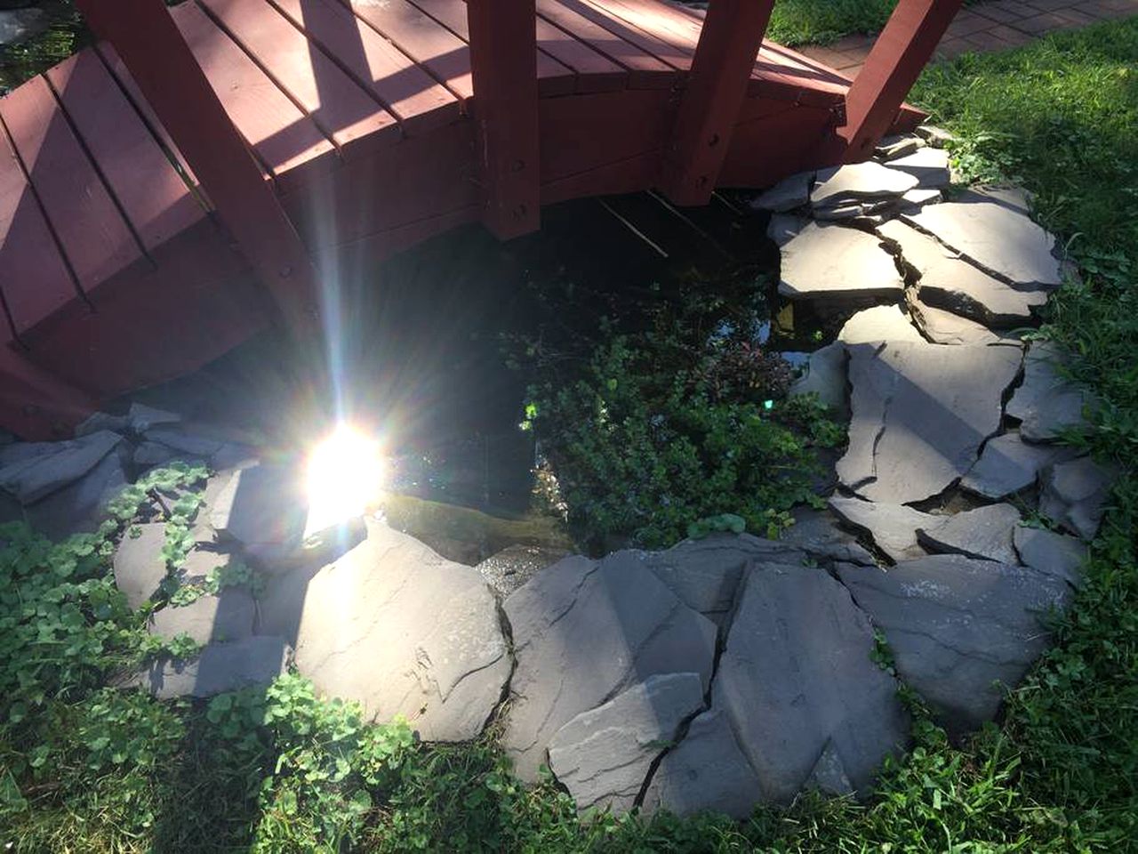 Authentic Mongolian Yurt for a Serene Healing Retreat in Saratoga Springs, New York