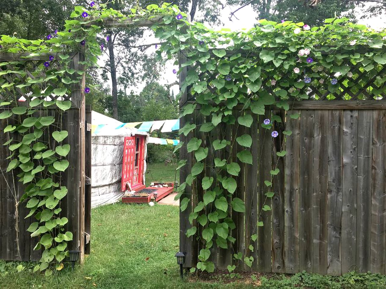 Authentic Mongolian Yurt for a Serene Healing Retreat in Saratoga Springs, New York