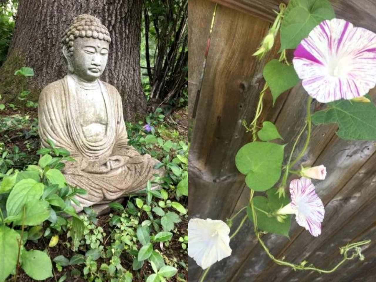 Authentic Mongolian Yurt for a Serene Healing Retreat in Saratoga Springs, New York