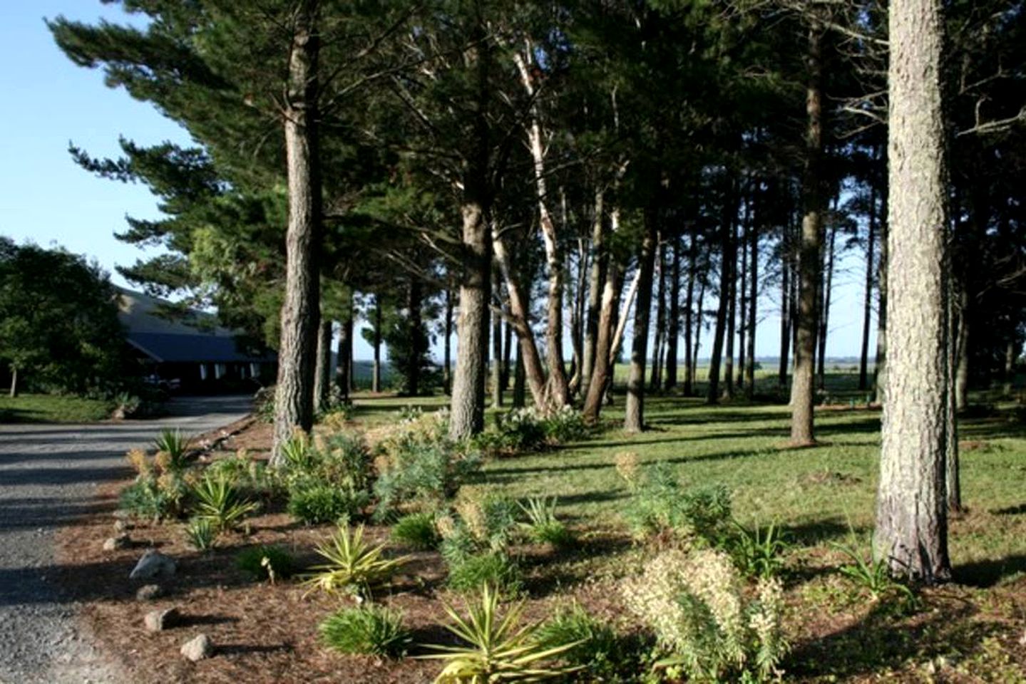Luxury Camping Cabins for Two Guests near Hastings, North Island