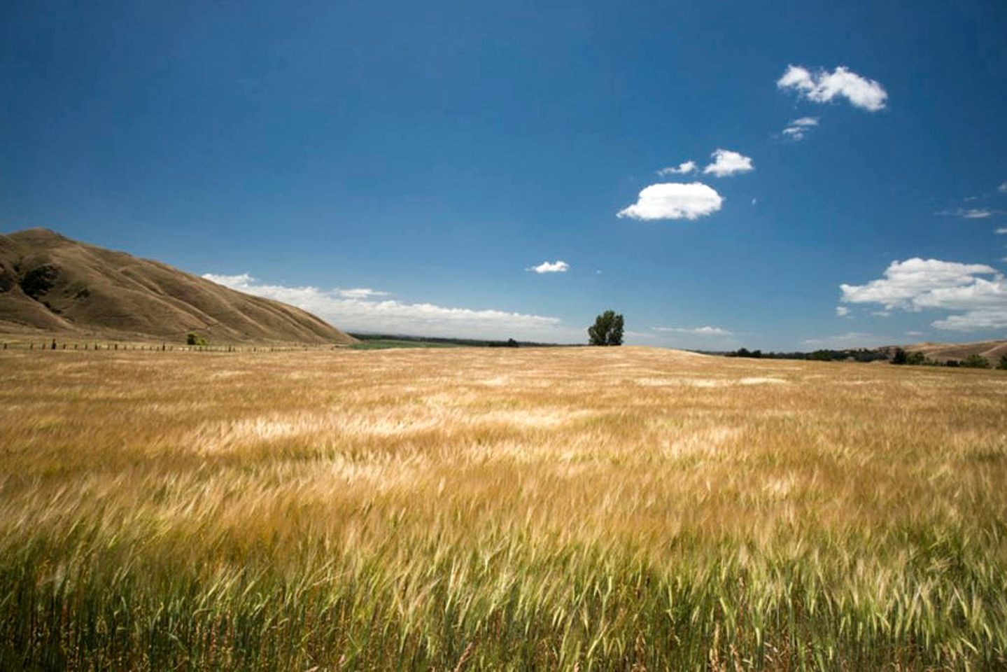 Luxury Camping Cabins for Two Guests near Hastings, North Island