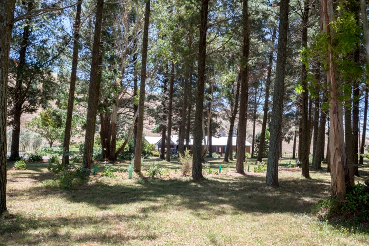 Luxury Camping Cabins for Two Guests near Hastings, North Island