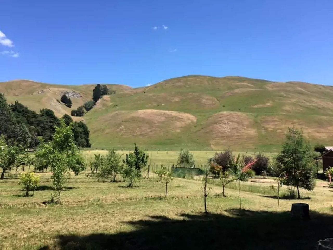 Secluded Country Cabin with a Shared Pool near Hastings, North Island