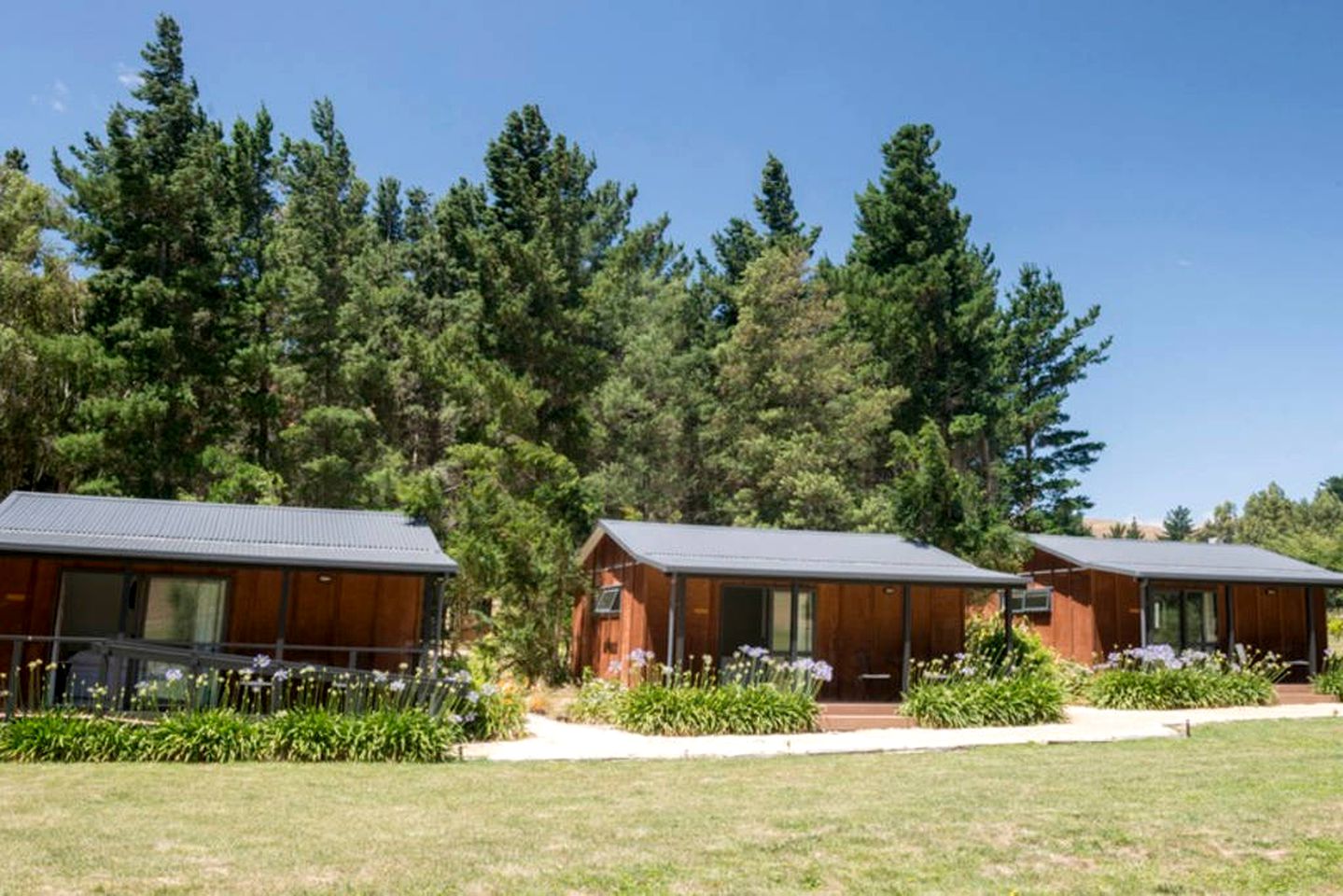Secluded Country Cabin with a Shared Pool near Hastings, North Island