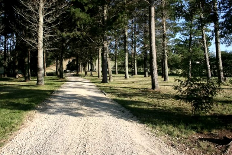 Cabins (Havelock North, North Island, New Zealand)