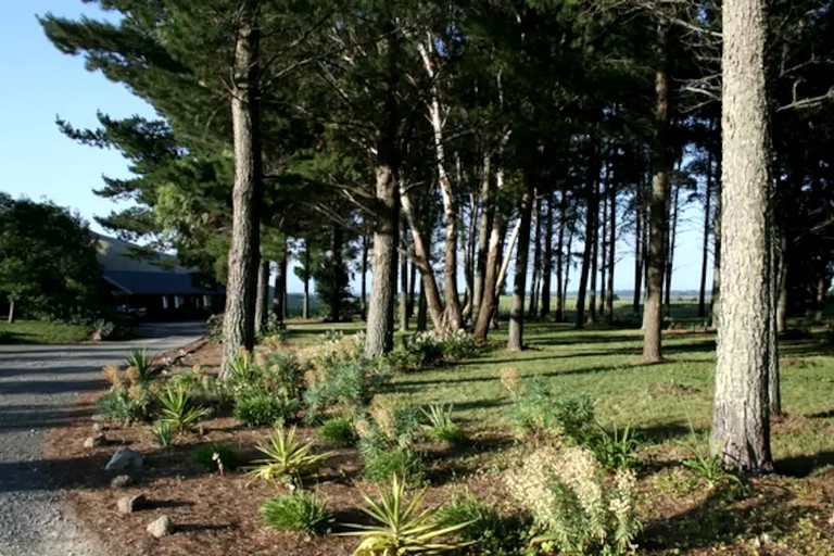 Cabins (Havelock North, North Island, New Zealand)