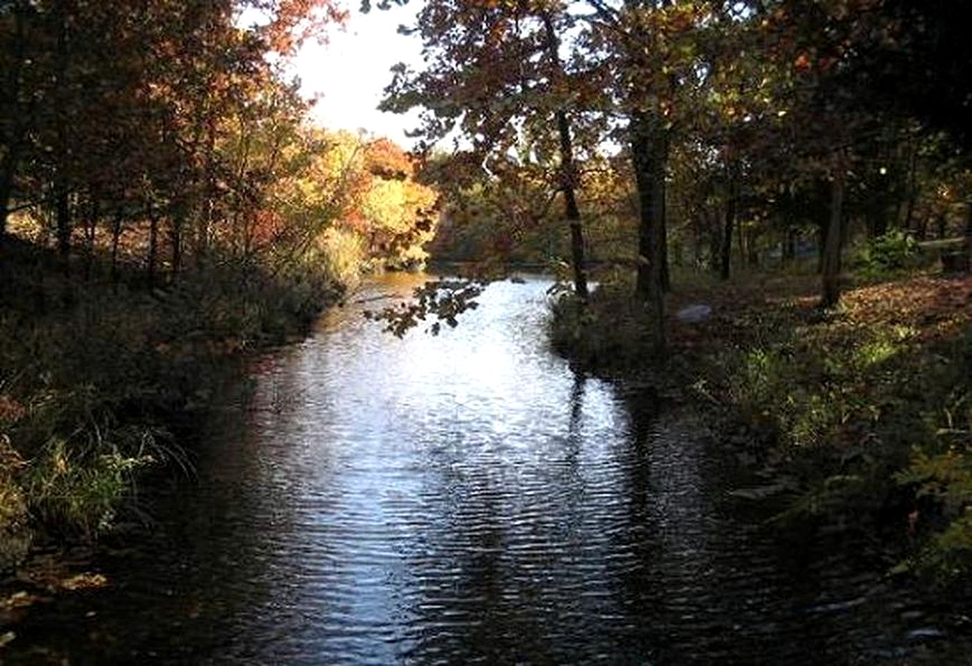 Rustic Cabin Rental on the Banks of a Private Lake in Catoosa, Oklahoma