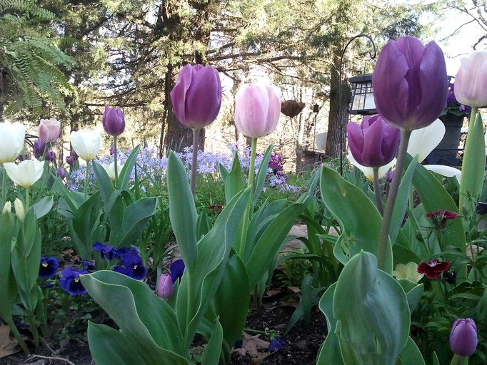 Cabins (Catoosa, Oklahoma, United States)