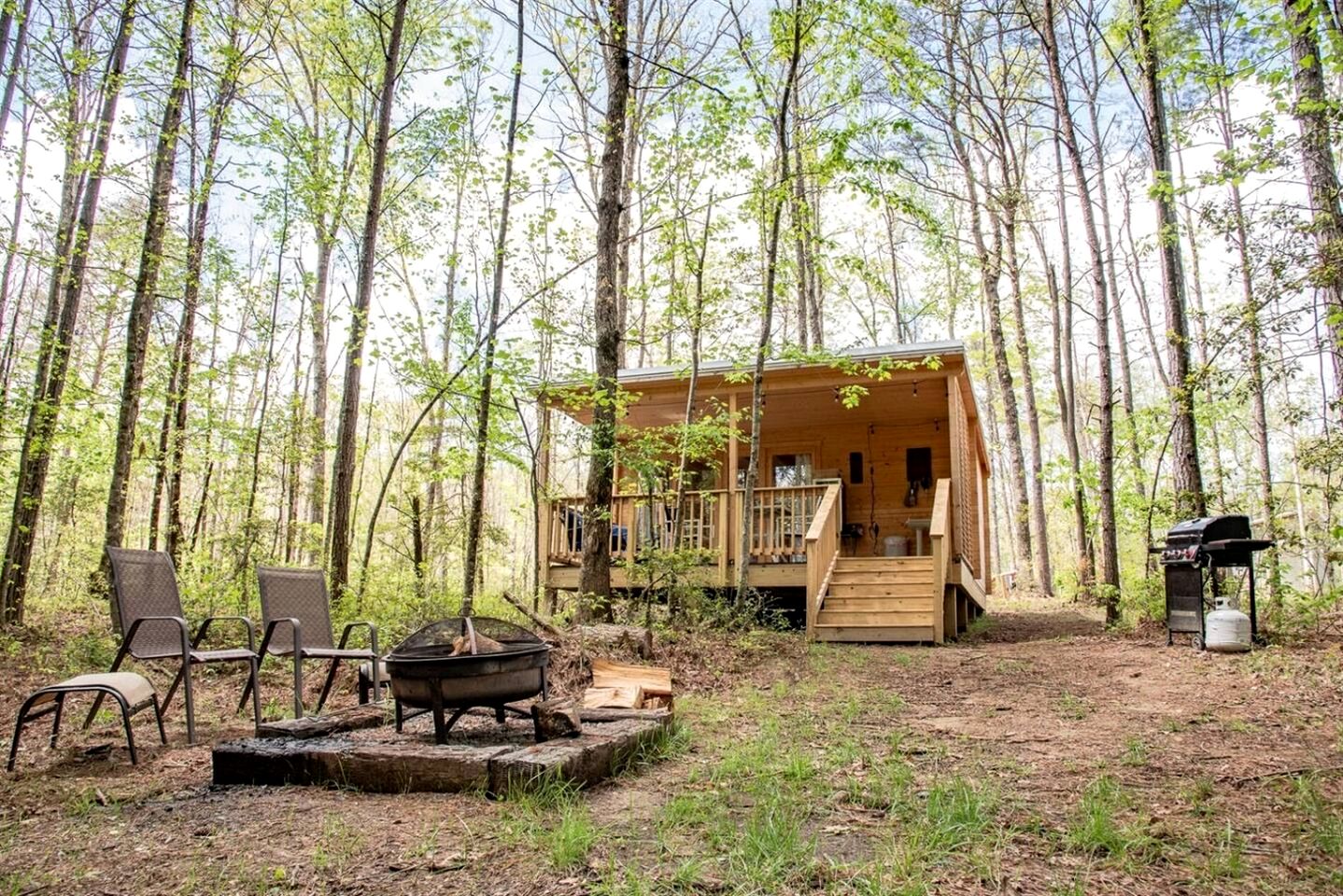 Cozy Scandinavian Cabin with EV Charging on 18-Acre Forest Retreat Near The Caverns & Waterfalls, Coalmont, TN