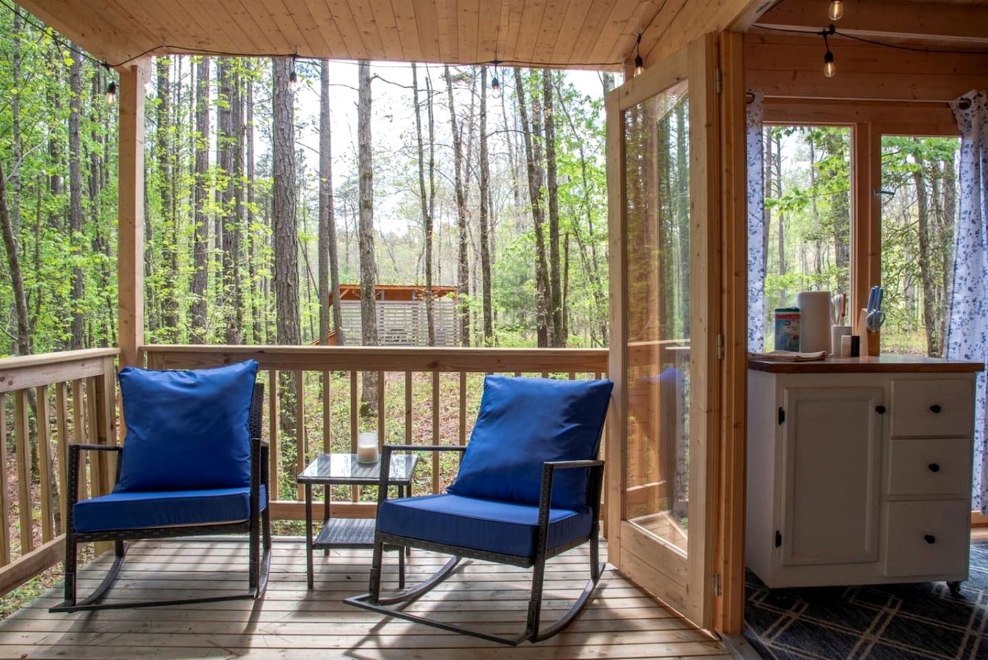 Cozy Scandinavian Cabin with EV Charging on 18-Acre Forest Retreat Near The Caverns & Waterfalls, Coalmont, TN