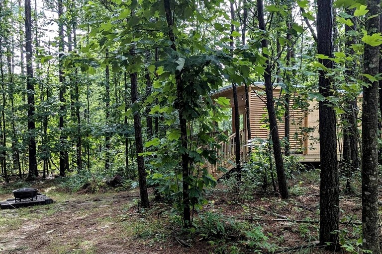 Cabins (United States of America, Coalmont, Tennessee)