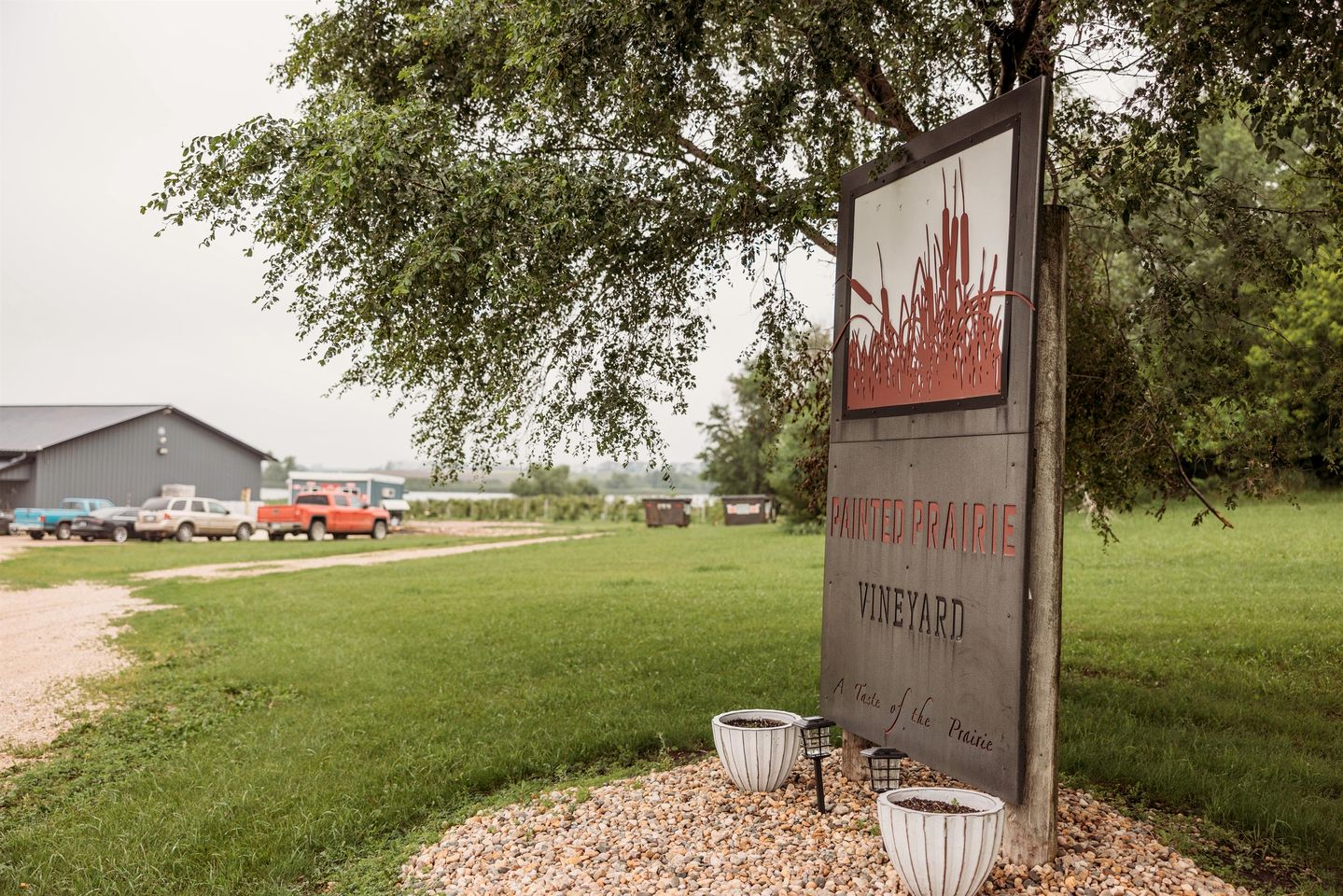 Charming Vineyard Glamping Tent with Wine Tastings near Lake Shetek in Currie, Minnesota