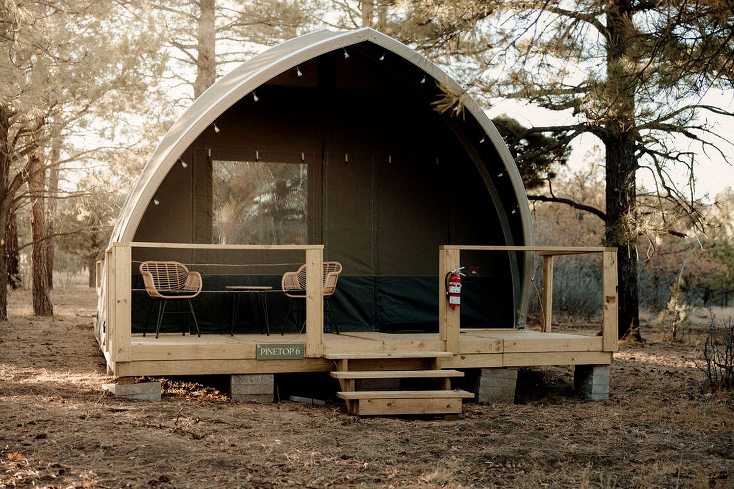 Scenic Family Glamping Retreat with Orchard & Mountain Views near Mountainair in Torreon, New Mexico