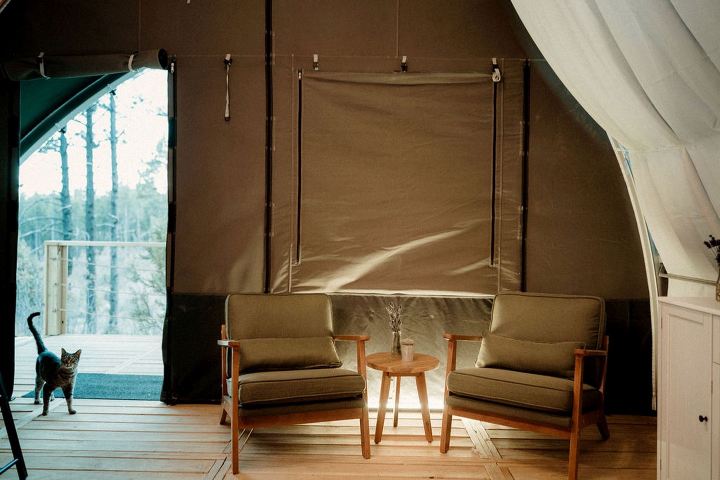 Scenic Family Glamping Retreat with Orchard & Mountain Views near Mountainair in Torreon, New Mexico