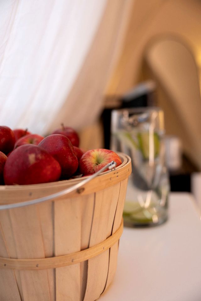 Scenic Glamping Tent with Orchard & Farm Animals near Mountainair in Torreon, New Mexico