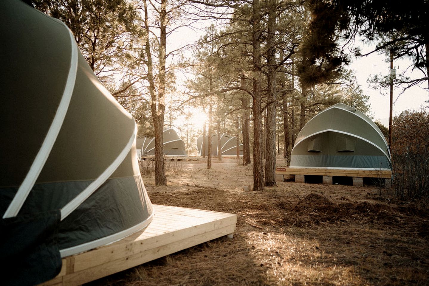 Scenic Mountain Glamping Tent with Orchard & Farm Animals near Quarai Ruins in Torreon, New Mexico