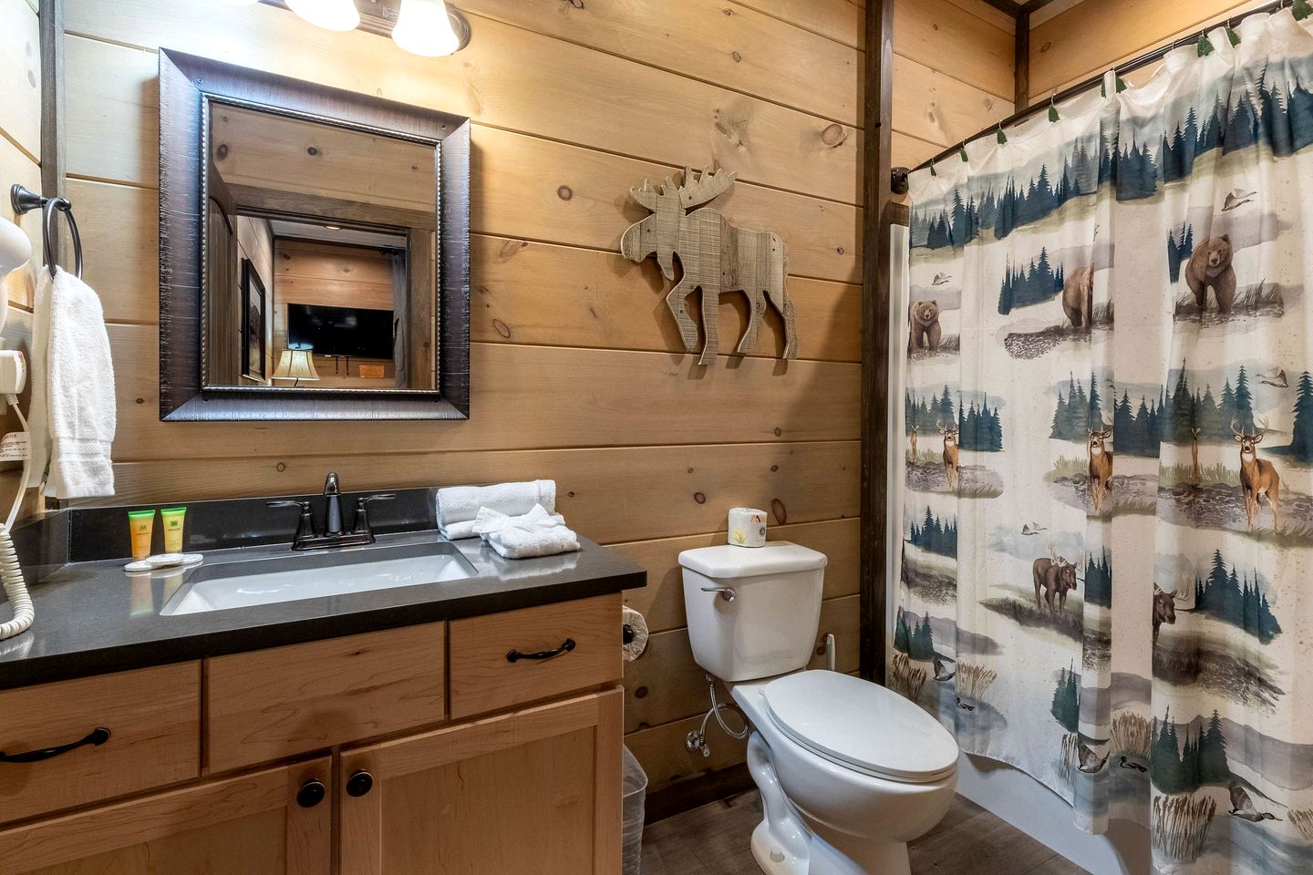 Scenic Smoky Mountain Cabin with Theater & Game Room near Gatlinburg, Tennessee