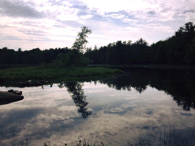 Safari Tents (Greenfield Center, New York, United States)