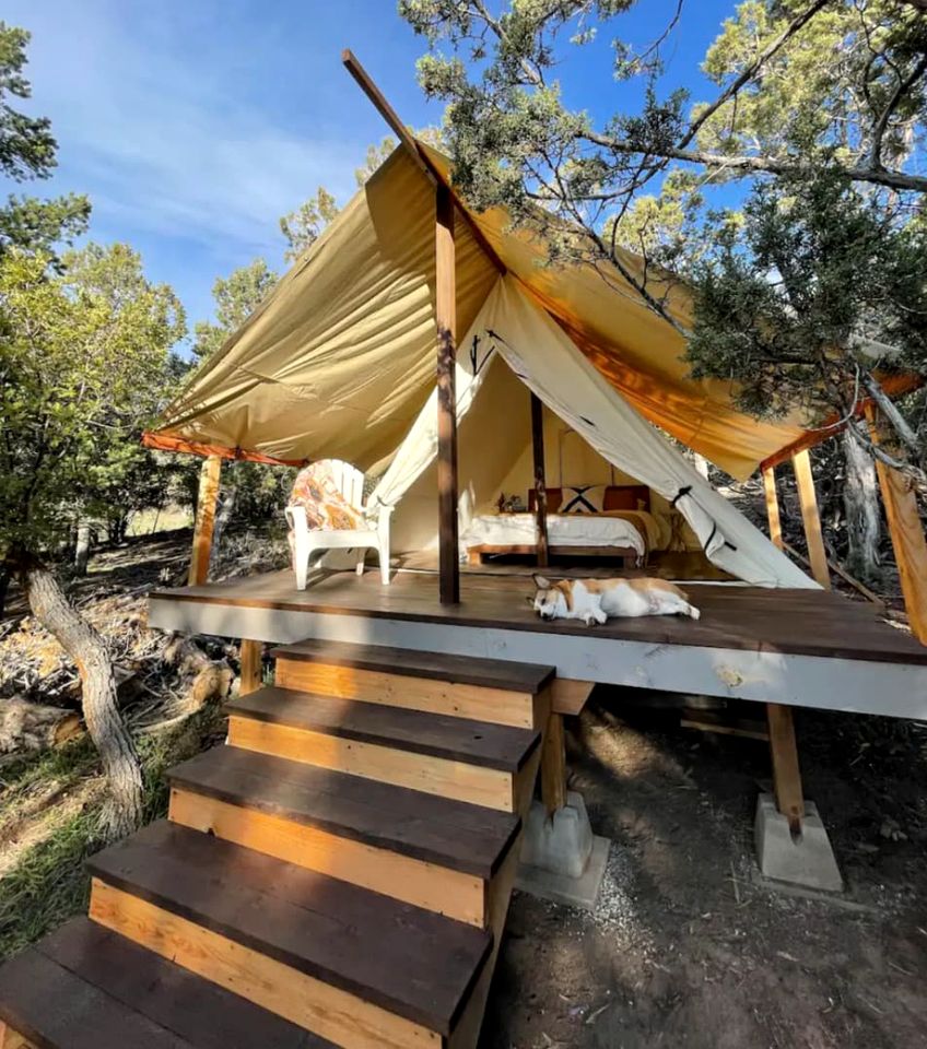 Private Comfy Tented Cabin Ideal for a Unique Escape with Backyard in Colorado