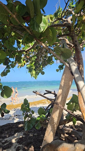 The Lighthouse Retreat, Little Corn island | Cabins (Little Corn Island, South Caribbean Coast Autonomous Region, Nicaragua)