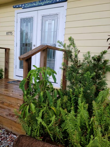 The Micco Fishing Bungalow on the Indian River FL | Cottages (Micco, Florida, United States of America)