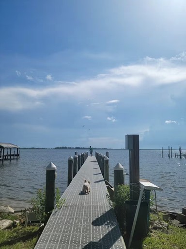 The Micco Fishing Bungalow on the Indian River FL | Cottages (Micco, Florida, United States of America)
