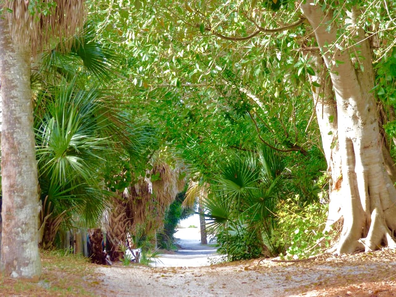 Serene Island Cottage with Screened Porch near Little Gasparilla Beach, Florida