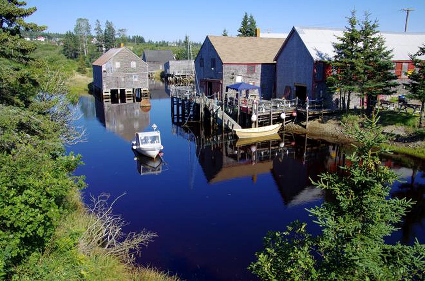 Cozy Waterfront Cottage Rental for Peaceful Island Getaway in Seal Cove, New Brunswick