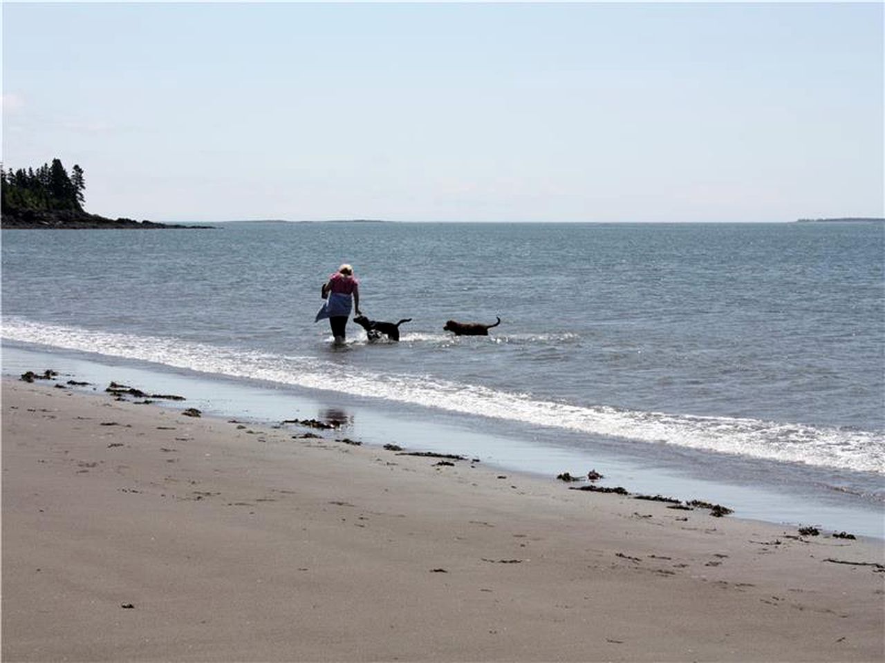 Cozy Waterfront Cottage Rental for Peaceful Island Getaway in Seal Cove, New Brunswick