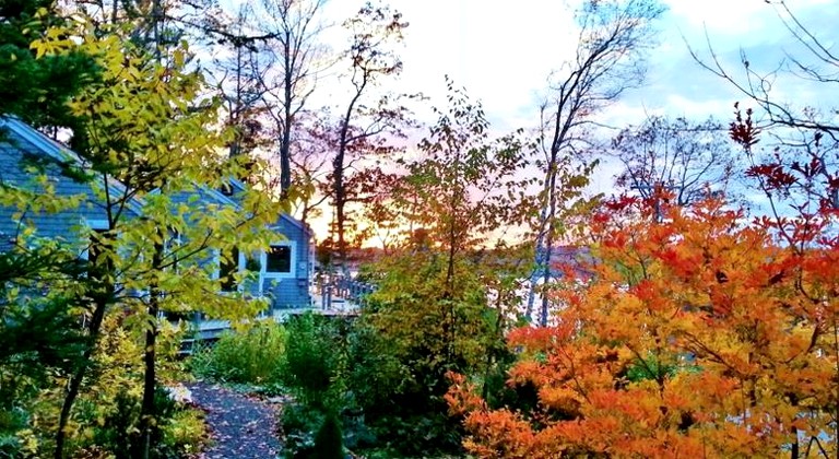 Cottages (East Boothbay, Maine, United States)