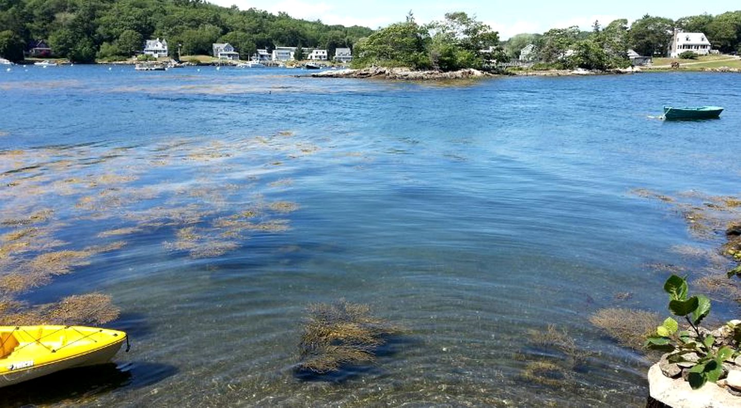 Gorgeous Waterfront Cottage with a Spacious Deck in East Boothbay, Maine